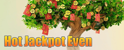 VIP အထူးအခွင့်အရေး promotion banner